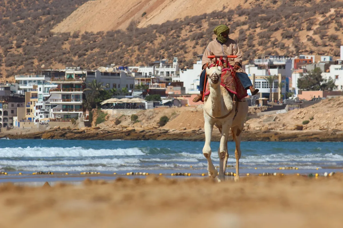 Como Fazer Massa de Pastel com Maionese Sem Errar e Deixar o Salgado Bem Crocante